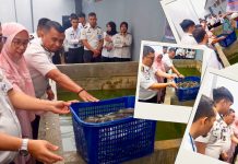 Panen Raya Serentak 2026, Rutan Kelas IIB Padang Panjang Dukung Asta Cita Presiden Prabowo Lewat Ketahanan Pangan