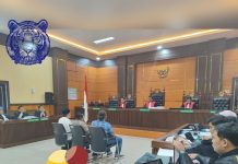 Bupati Tanah Datar Eka Putra Bersaksi di Sidang Lanjutan Korupsi Terdakwa Veri Kurniawan