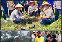 Bupati Menanam Bunga, Kapolres Menanam Pohon, Wartawan Menanam Cabe