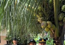 Kapolresta Padang Tinjau Langsung Lokasi Bencana Banjir