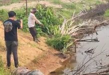 Terkait Ada nya Laporan Atas dugaan Penyerobotan Lahan Serta Perusakan Tanaman Sawit Serta Pagar Pembatas Boynardi CS Angkat Bicara