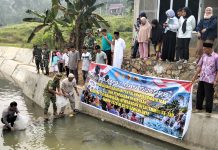 TMMD ke – 130 Sentuh Sektor Perikanan, 2000 Benih Ikan Rayo Ditebar di Desa Data Mansiang