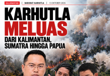 Karhutla Meluas dari Sumatra hingga Papua, AMSINDO Desak Prabowo Copot Menhut dan Kepala BNPB
