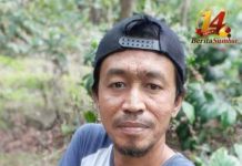 Ironi Ketimpangan Industri Kopi