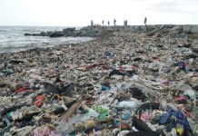 Konflik Pengelolaan Sampah di Kota Padang: Ketika Kepentingan Pemerintah dan Masyarakat Tidak Berjalan Sejalan