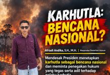 Afriadi Andika Desak Pemerintah Evaluasi Menyeluruh Dalam Persoalan Karhutla